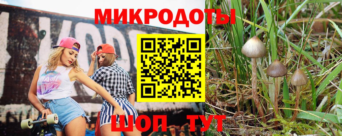 где купить наркоту  Вход с VPN  Галлюциногенные грибы Psilocybine cubensis  Кимры  Галлюциногенные грибы мухоморы 